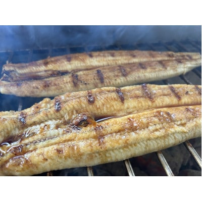 【国産うなぎ】通常サイズ120g-140g　三河一色産　6尾　炭火蒲焼き(タレ付き)【配送不可地域：離島】