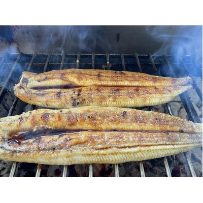 【国産うなぎ】通常サイズ120g-140g　三河一色産　4尾　炭火蒲焼き(タレ付き)【配送不可地域：離島】