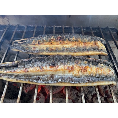 【国産うなぎ】通常サイズ120g-140g　三河一色産　10尾　炭火蒲焼き(タレ付き)【配送不可地域：離島】