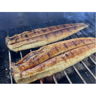 【国産うなぎ】大サイズ140g -170g　三河一色産　2尾セット　炭火蒲焼き(タレ付き)【配送不可地域：離島】