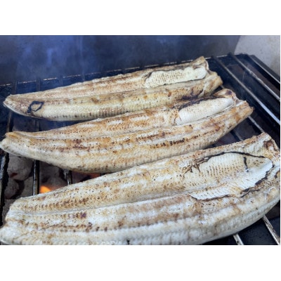 【国産うなぎ】特大サイズ180g-220g　三河一色産　4尾　炭火蒲焼き(タレ付き)【配送不可地域：離島】