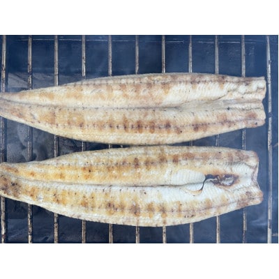 【国産うなぎ】大サイズ140g -170g　三河一色産　2尾セット　炭火白焼き【配送不可地域：離島】