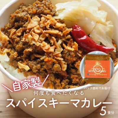 RUTA自家製スパイスキーマカレー計1kg【配送不可地域：離島】