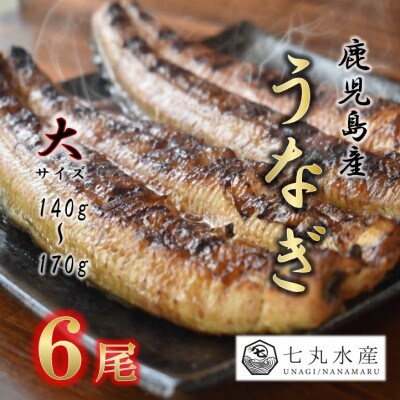 【国産うなぎ】大サイズ140g -170g　鹿児島産　6尾セット 炭火蒲焼き(タレ付)【配送不可地域：離島】