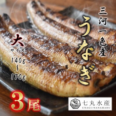 【国産うなぎ】大サイズ140g -170g　三河一色産　3尾　炭火蒲焼き(タレ付き)【配送不可地域：離島】