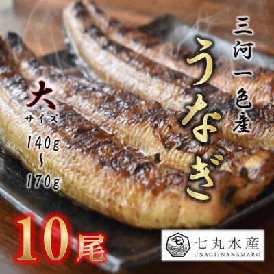 【国産うなぎ】大サイズ140g -170g　三河一色産　10尾　炭火蒲焼き(タレ付き)【配送不可地域：離島】