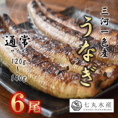 【国産うなぎ】通常サイズ120g-140g　三河一色産　6尾　炭火蒲焼き(タレ付き)【配送不可地域：離島】