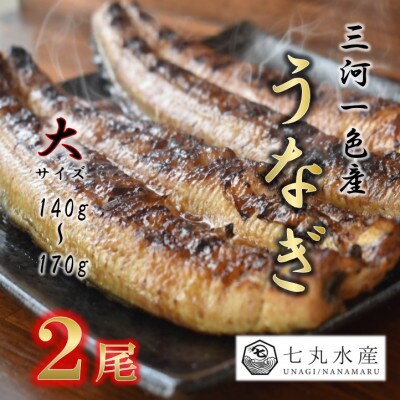 【国産うなぎ】大サイズ140g -170g　三河一色産　2尾セット　炭火蒲焼き(タレ付き)【配送不可地域：離島】