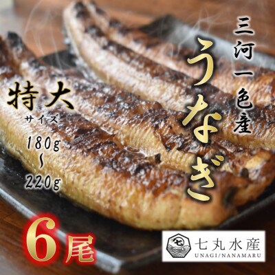 【国産うなぎ】特大サイズ180g-220g　三河一色産　6尾　炭火蒲焼き(タレ付き)【配送不可地域：離島】