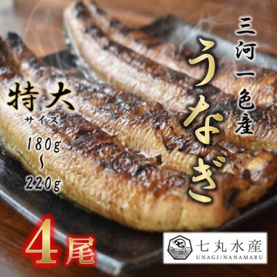 【国産うなぎ】特大サイズ180g-220g　三河一色産　4尾　炭火蒲焼き(タレ付き)【配送不可地域：離島】