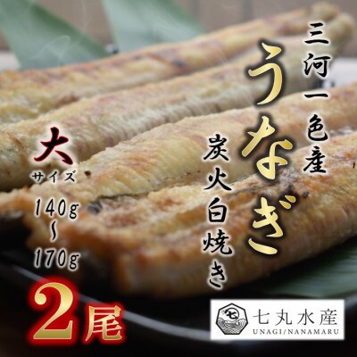 【国産うなぎ】大サイズ140g -170g　三河一色産　2尾セット　炭火白焼き【配送不可地域：離島】