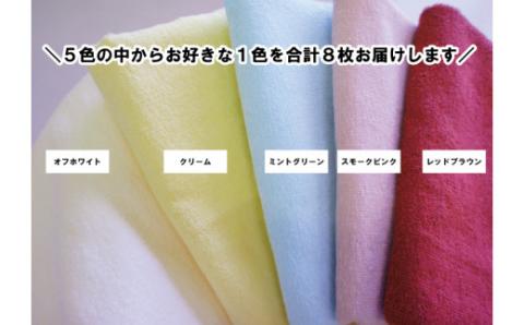 泉州タオル 無蛍光 抗菌 カラータオル 選べる1色 8枚入り 240匁 ( クリーム )