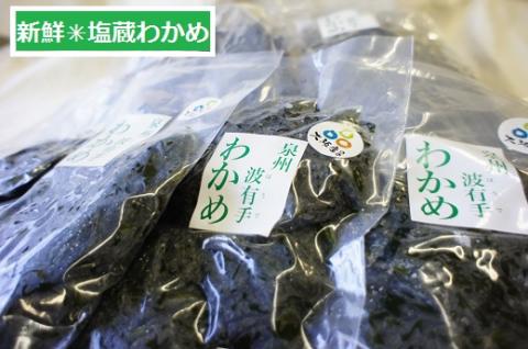 漁師がお届け 塩蔵わかめ 500g と 乾燥わかめ 200gセット 計700g わかめ 国産 詰め合わせ