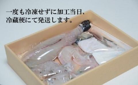 のぞみふぐ(トラフグ)1尾