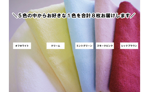 泉州タオル 無蛍光 抗菌 カラータオル 選べる1色 8枚入り 240匁 ( オフホワイト )