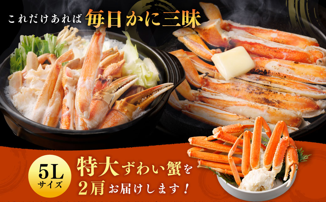 ボイル ズワイ蟹 特大サイズ 2肩 800g