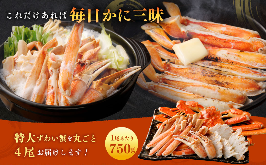 特大 ボイル ズワイ蟹 姿 3kg 4尾