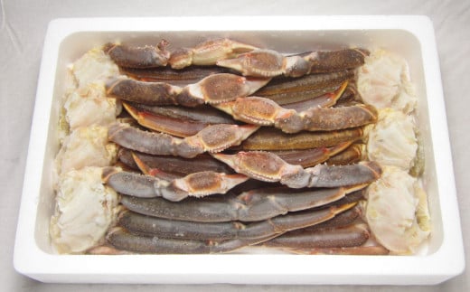 生ずわい蟹 5L サイズ 3kg (6 ～ 8肩) 【12】