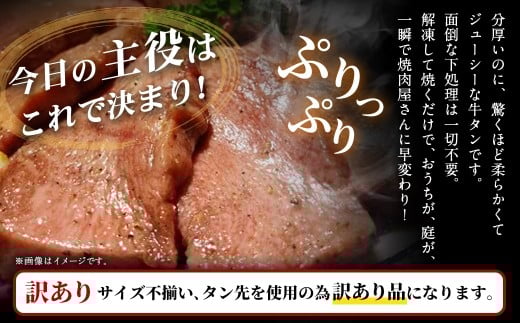 【12月下旬以降順次発送】 【訳あり】   極厚の厚切りタン 1kg （500g×2パック） 塩だれ × ニンニク醤油 ／ 牛タン 牛たん タン たん 牛肉 お肉 肉 極厚 厚切り 訳アリ 理由あり わけあり 大阪府 阪南市 冷凍