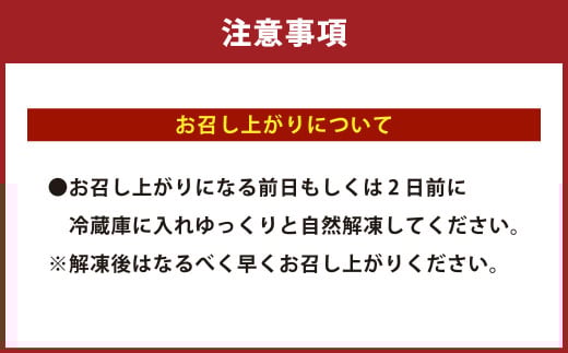 大阪産 和牛 なにわ黒牛 切り落とし 750g