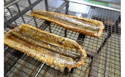 のぞみ 照焼 はも 500g 【2026年5月上旬から12月上旬発送予定】