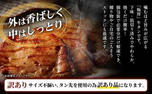 【訳あり】   極厚牛タンステーキ 1kg （500g×2パック） 塩だれ × レモンペッパー味 ／ 牛タン 牛たん タン たん 牛肉 お肉 肉 ステーキ 極厚 訳アリ 理由あり わけあり 大阪府 阪南市 冷凍