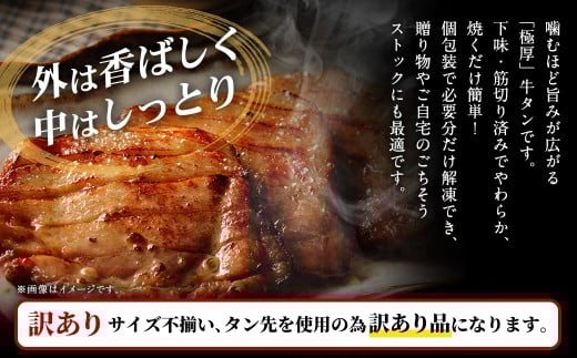 【訳あり】   極厚牛タンステーキ 1kg （500g×2パック）バジルソテー×バジルソテー ／ 牛タン 牛たん タン たん 牛肉 お肉 肉 ステーキ 極厚 訳アリ 理由あり わけあり 大阪府 阪南市 冷凍