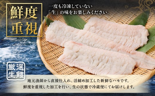 のぞみ水産 活〆 骨切り 生鱧 500g 【2026年5月上旬から12月上旬発送予定】はも ハモ 鱧 活締め 生はも はも鍋 天ぷら