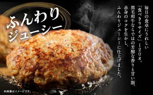 【A4～A5ランクの黒毛和牛100%】 ハンバーグ 120g×5個 （計600g） ／ 黒毛和牛 黒毛和種 和牛 国産牛 牛肉 お肉 肉 大阪府 阪南市 冷凍