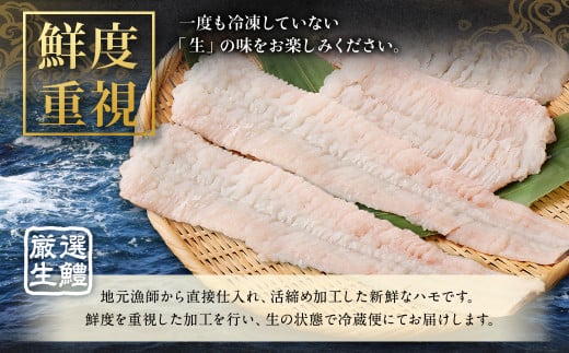 のぞみ水産 活〆 骨切り 生鱧 1kg 【2026年5月上旬から12月上旬発送予定】はも ハモ 鱧 活締め 生はも はも鍋 天ぷら