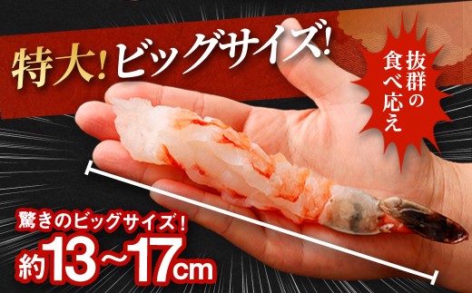 特大 ブラックタイガー 殻なし ビッグサイズ（20匹）