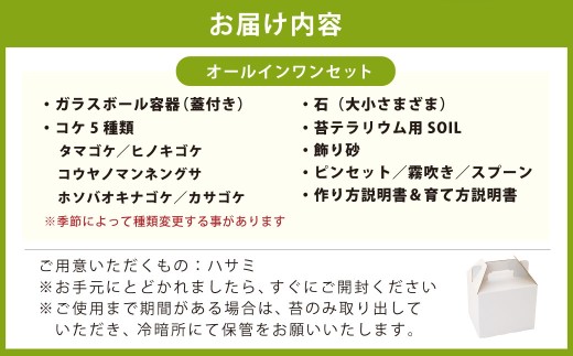 癒やしと安らぎ 苔テラリウムキット ガラスボール容器 コケ5種類 石 苔テラリウム用SOIL 飾り砂 ピンセット 霧吹き スプーン 作り方＆育て方説明書 制作キット