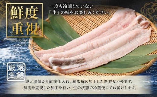 のぞみ水産 潮氷締め（野〆） 骨切り ピンク生鱧 約1kg 寒ハモ 【2025年12月上旬～2026年2月上旬発送予定】 鱧 はも ハモ 新鮮 冷蔵