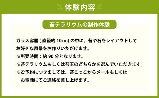 苔テラリウムの制作体験チケット ペアチケット 苔玉 ワークショップ 苔 コケ 植物