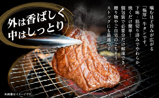 【12月下旬以降順次発送】 極厚牛タンステーキ 1kg （500g×2パック） 塩だれ × ガーリックペッパー ／ 牛タン 牛たん タン たん 牛肉 お肉 肉 ステーキ 極厚 大阪府 阪南市 冷凍