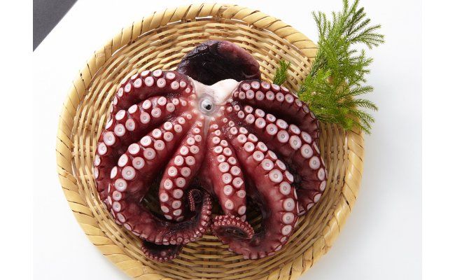 大阪産 泉タコ （ボイルたこ） 600g （1杯～3杯）×1袋と 茎わかめ 佃煮 180gの セット 【2024年7月上旬より順次発送】 魚介類 海鮮 タコ ゆで わかめ 冷凍