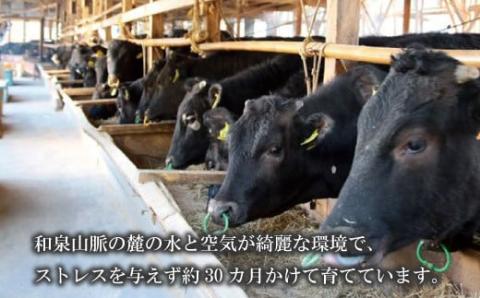 大阪産 和牛 大阪産ブランド牛 なにわ黒牛 黒毛和牛 ミスジ・ステーキ用