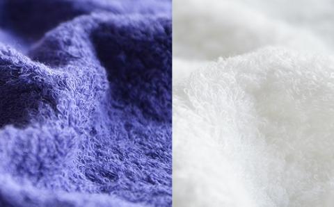 【ホワイト＆ロイヤルブルー】天衣無縫 オーガニック 超長綿使用 スーピマエンジェル ウォッシュタオル 2枚 箱入り セット GT22S-1220AエンジェルWT箱入 タオル オーガニックコットン 綿