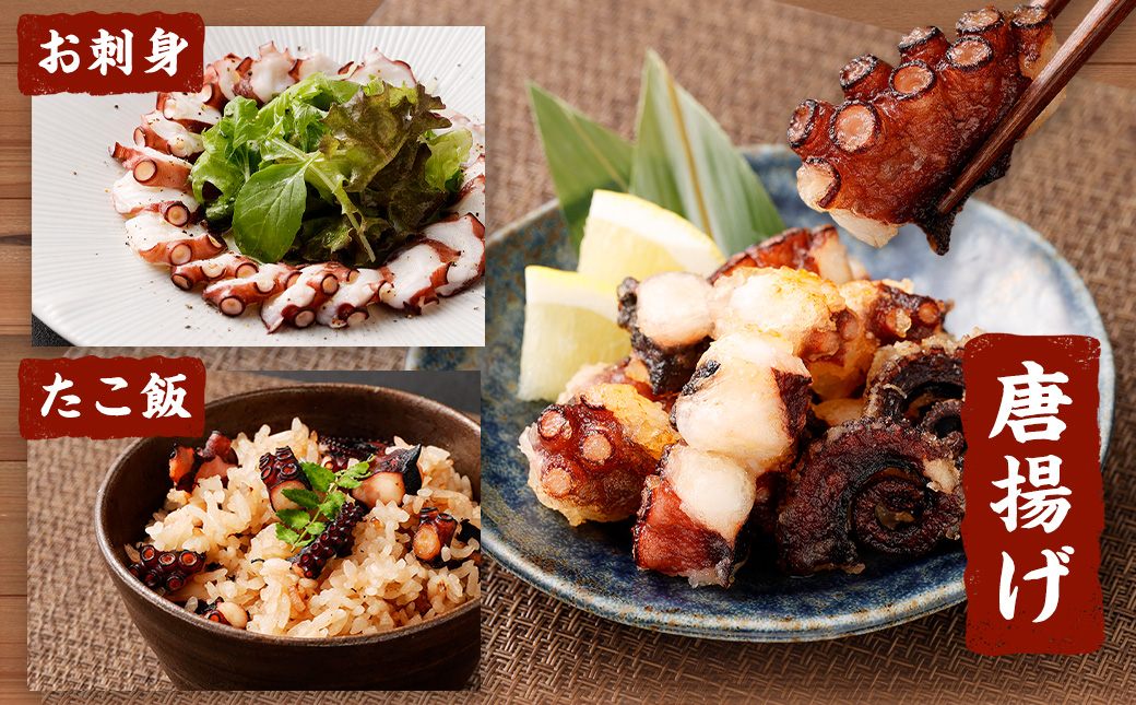 大阪産 泉タコ （生たこ） 計1.3kg 650g（1～3杯）×2袋 魚介類 海鮮 タコ たこ 真蛸 スミ抜き 塩もみ処理 下処理済み 簡単調理 冷凍