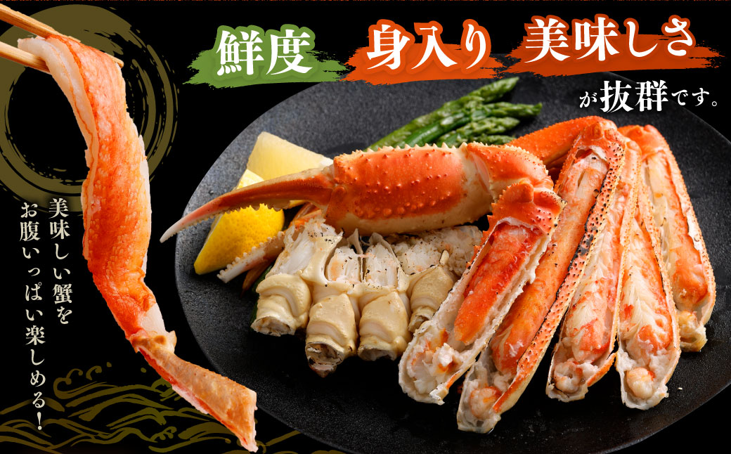 ボイル ズワイ蟹 特大サイズ 2肩 800g