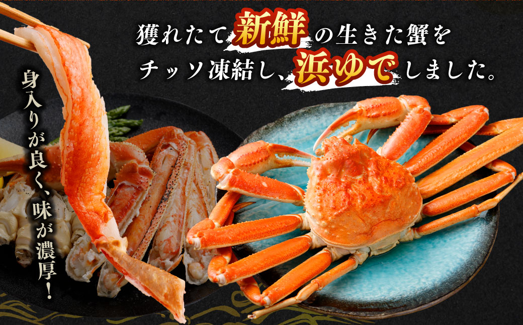 特大 ボイル ズワイ蟹 姿 3kg 4尾