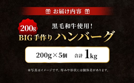 黒毛和牛使用！ 200gのBIG手作りハンバーグ 200g×5個 （計1kg） ／ 黒毛和牛 黒毛和種 和牛 国産牛 牛肉 お肉 肉 大阪府 阪南市 冷凍