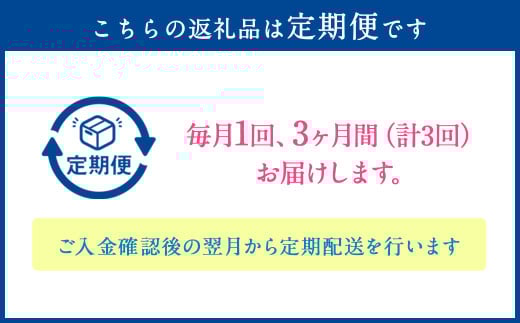 【3ヶ月定期便】季節のお花定期便（フラワーアレンジメント）