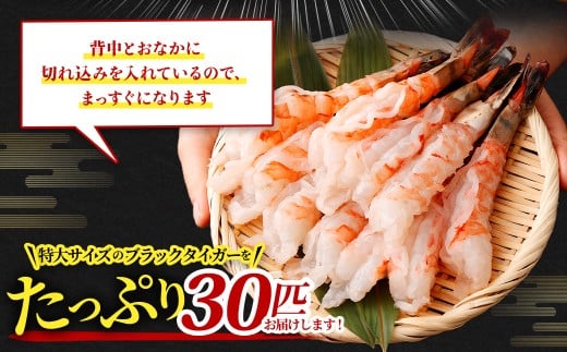 特大 ブラックタイガー 殻なし ビッグサイズ （30匹）