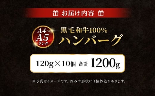 【A4～A5ランクの黒毛和牛100%】 ハンバーグ 120g×10個 （計1.2kg） ／ 黒毛和牛 黒毛和種 和牛 国産牛 牛肉 お肉 肉 大阪府 阪南市 冷凍