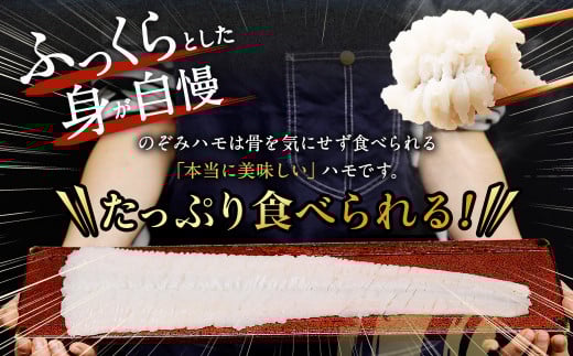 のぞみ 活〆 骨切り 生鱧 700g 【2026年5月上旬から12月上旬発送予定】はも ハモ 鱧 活締め 生はも はも鍋 天ぷら
