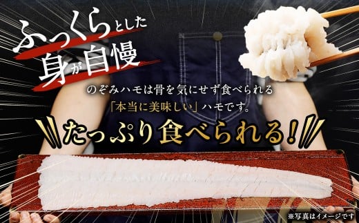 のぞみ水産 潮氷締め（野〆） 骨切り ピンク生鱧 約1kg 寒ハモ 【2025年12月上旬～2026年2月上旬発送予定】 鱧 はも ハモ 新鮮 冷蔵