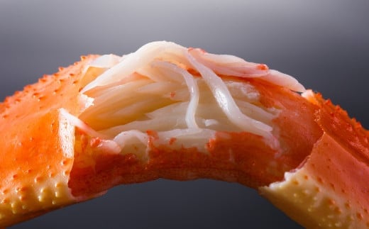 ボイル ずわい蟹 4L サイズ 3kg （7 ～ 9肩） 【11】