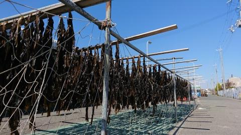 漁師がお届け 塩蔵わかめ 1kg と 乾燥わかめ 400gセット 計1.4kg わかめ 国産 詰め合わせ