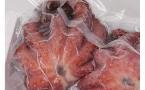 大阪産 泉タコ （ボイルたこ） 600g （1杯～3杯）×1袋 【2024年7月上旬より順次発送】 魚介類 海鮮 タコ ゆで 冷凍